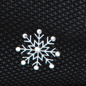 Snowflake