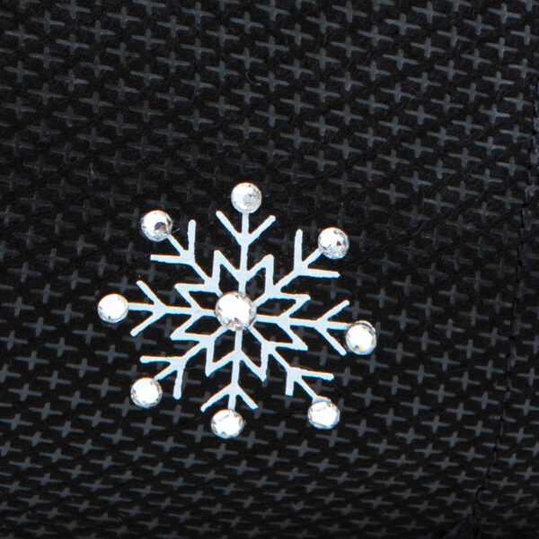 Snowflake – Bild 2